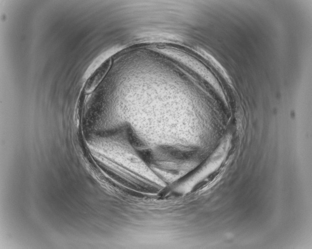 X0000087420885200705111913