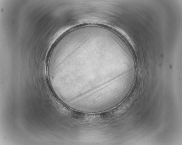 X0000087420887200705111913