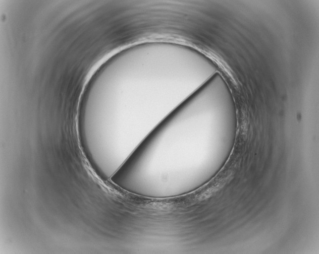 X0000087420888200705111913