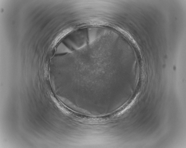 X0000087420889200705111913