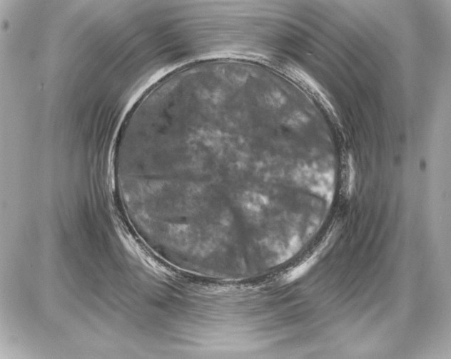 X0000087420892200705111913