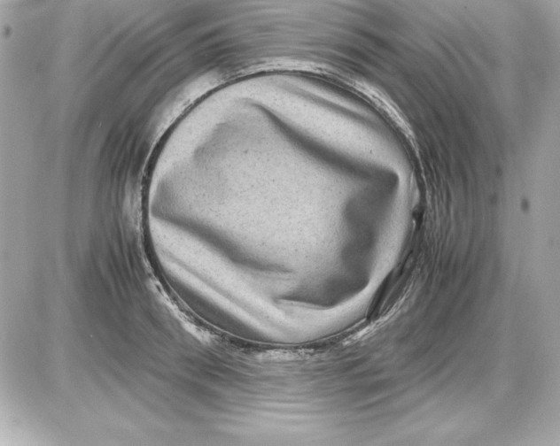 X0000087420898200705111913