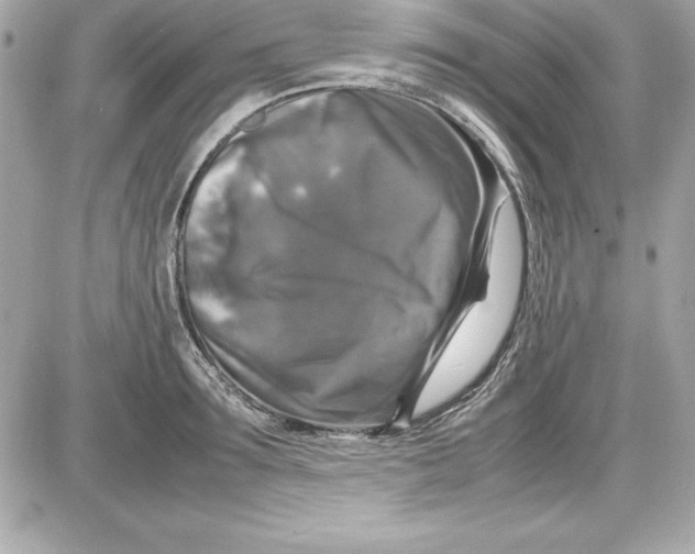X0000087420899200705111913