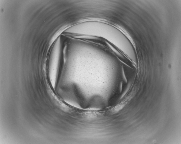 X0000087420906200705111913