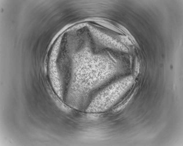 X0000087420908200705111913