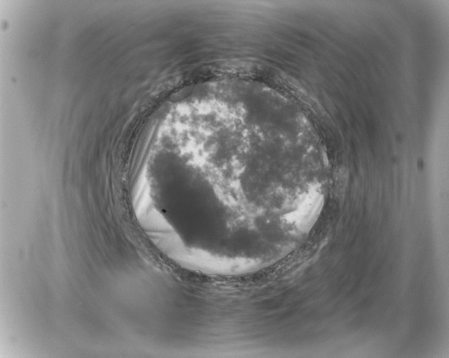 X0000087420913200705111912
