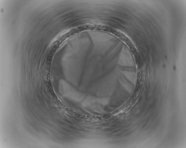 X0000087420919200705111912