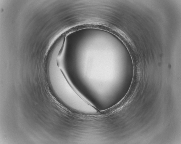 X0000087420926200705111912