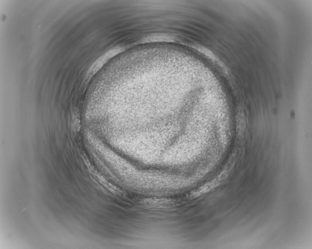 X0000087420929200705111912