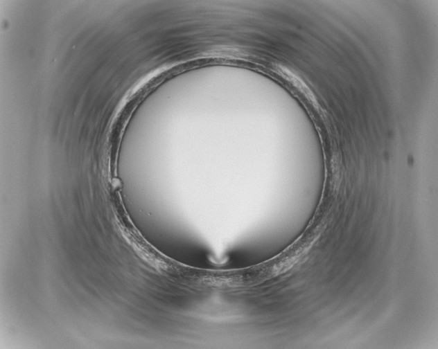 X0000087420931200705111912