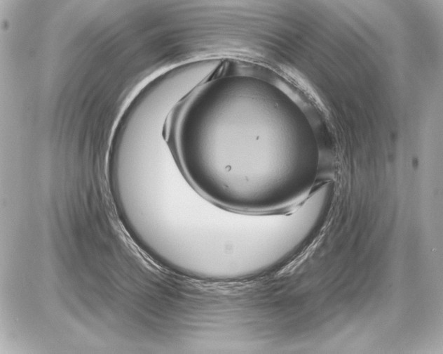 X0000087420932200705111912