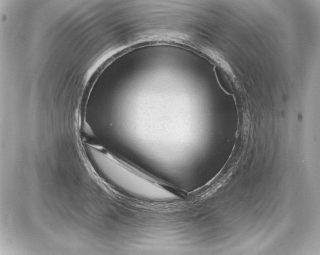 X0000087420936200705111913