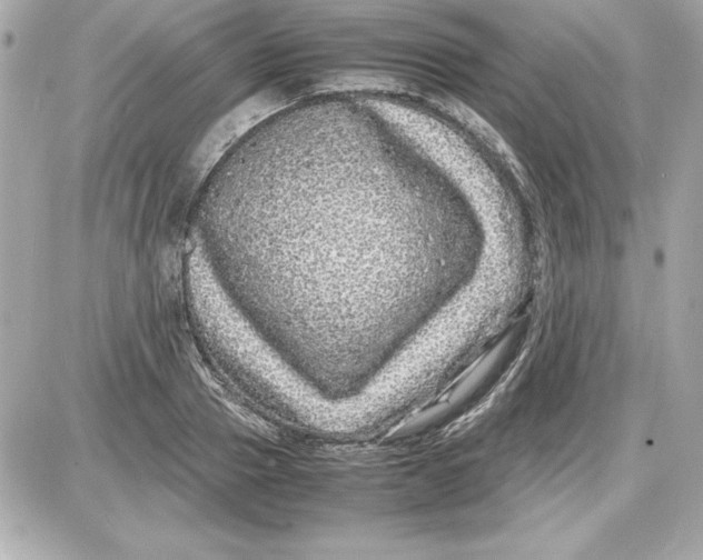 X0000087420937200705111913