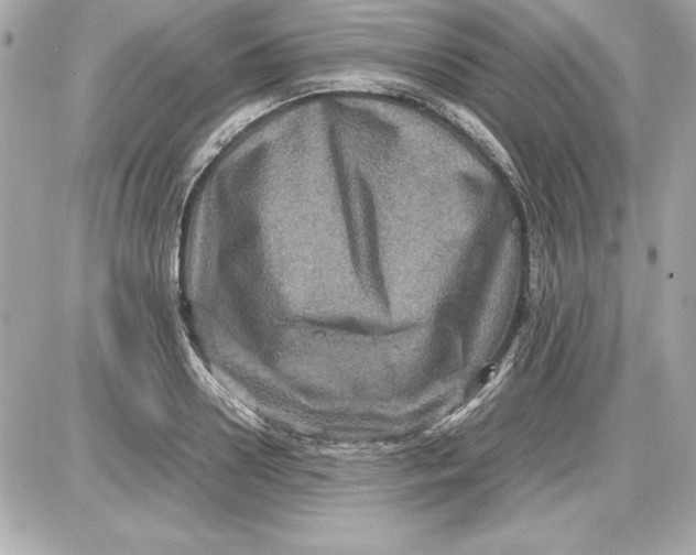 X0000087420938200705111913