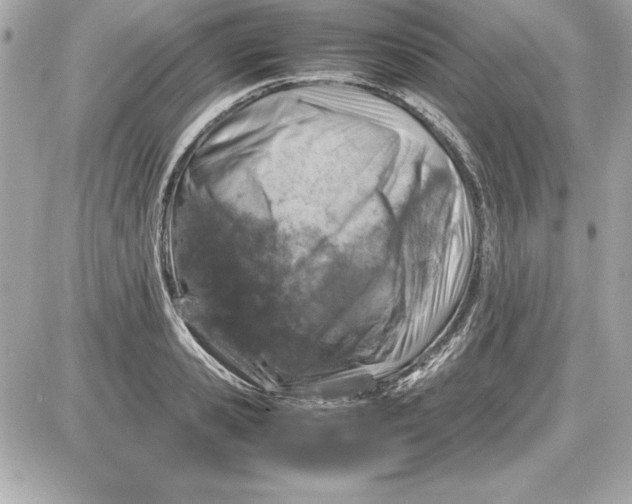X0000087420941200705111913