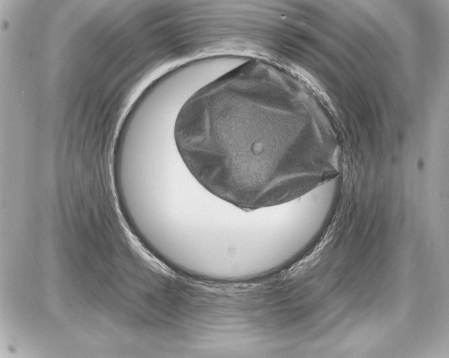 X0000087420942200705111913