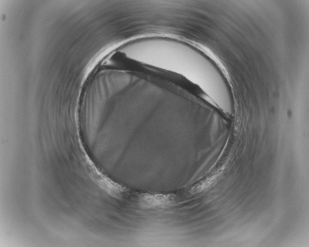 X0000087420943200705111913