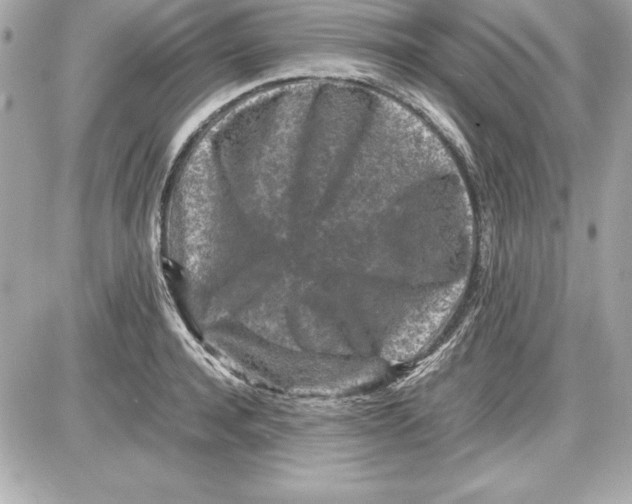 X0000087420944200705111913
