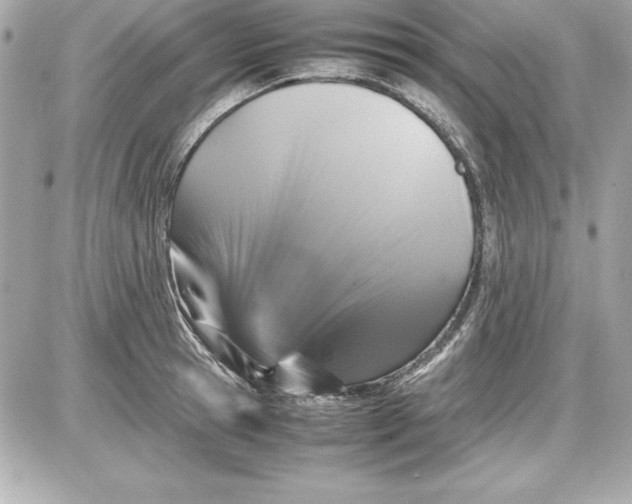 X0000087420945200705111913