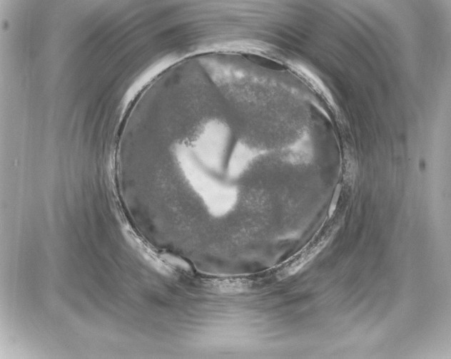 X0000087420952200705111913
