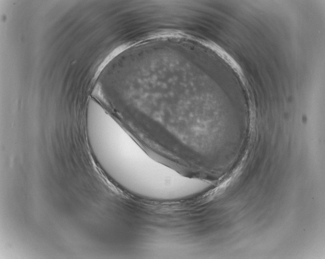 X0000087420953200705111913