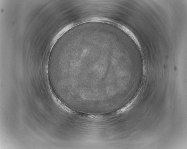 X0000087420954200705111913
