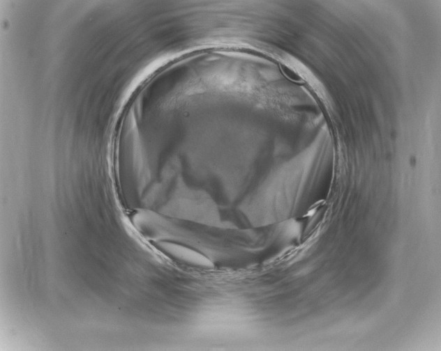 X0000087420958200705111913