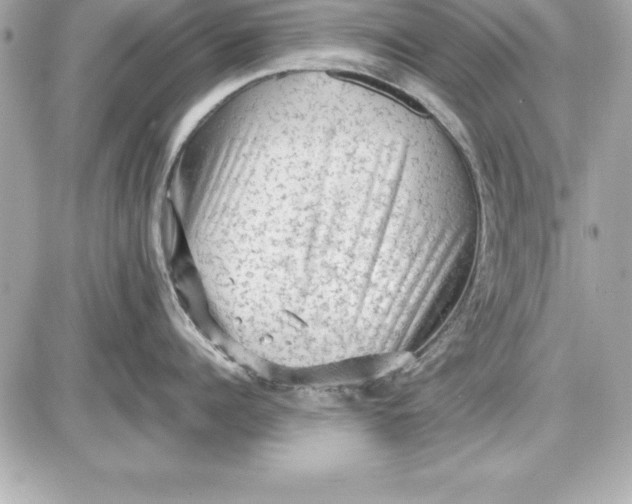 X0000087420960200705111913