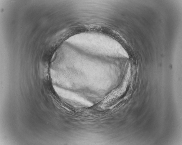 X0000087420963200705111912