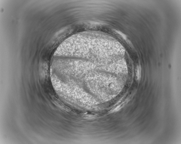 X0000087420964200705111912