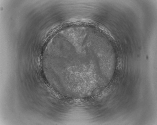 X0000087420966200705111912