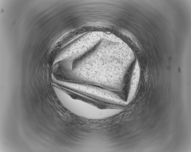 X0000087420968200705111912