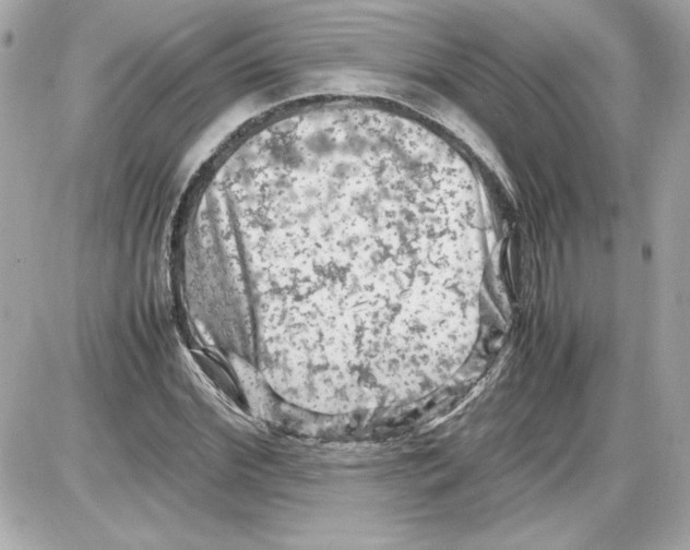X0000087420972200705111912