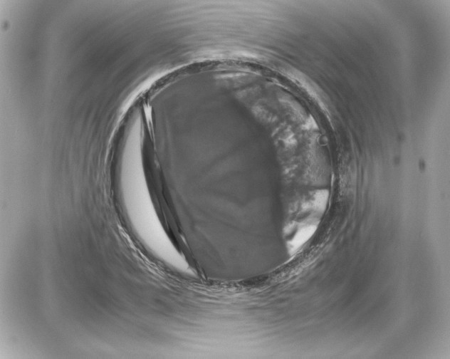 X0000087420975200705111912
