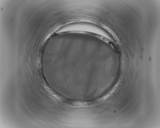 X0000087420977200705111912