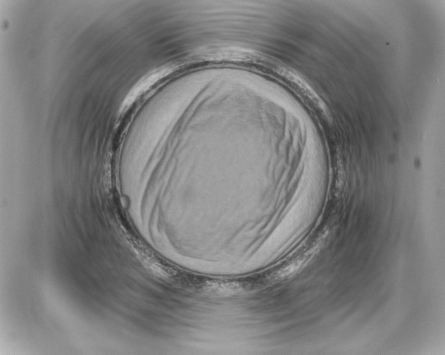 X0000087420978200705111912
