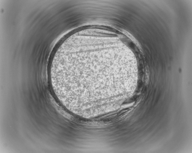 X0000087420980200705111912