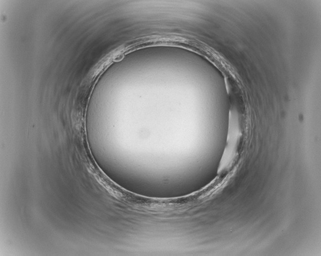 X0000087420985200705111912