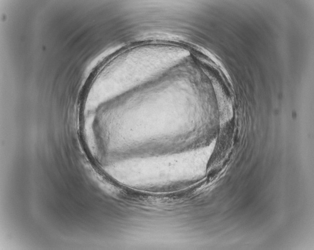 X0000087420987200705111912