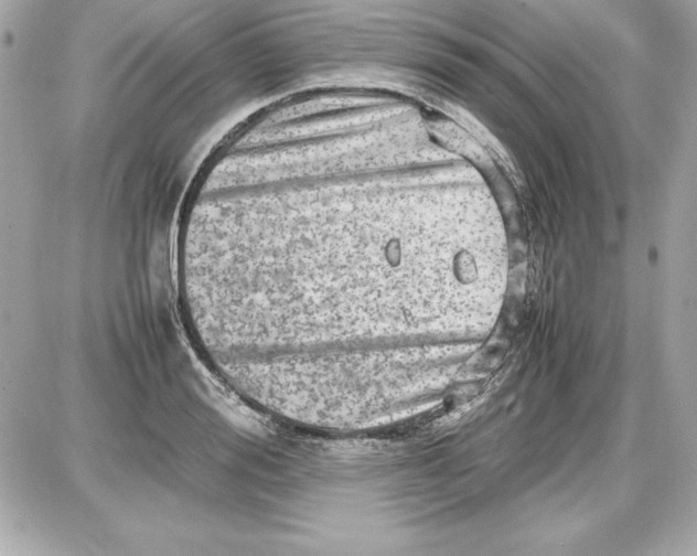 X0000087420988200705111912