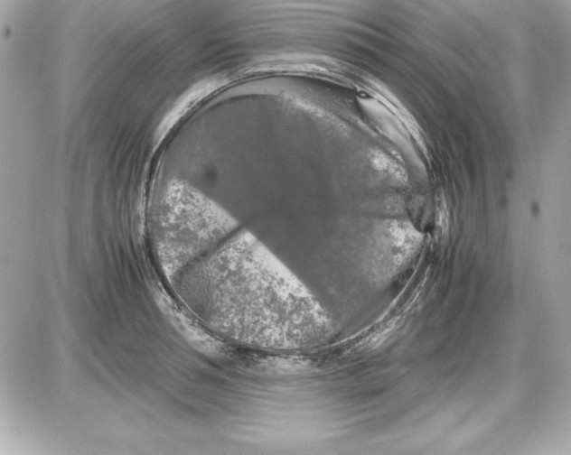 X0000087420994200705111912