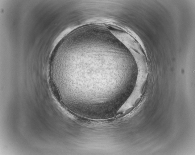 X0000087420997200705111912