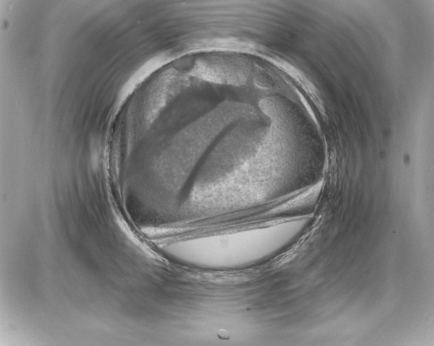 X0000087420998200705111912