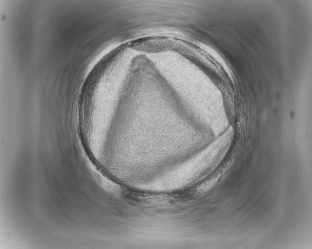 X0000087420999200705111912