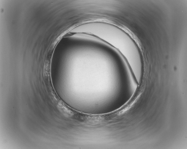 X0000087421001200705111911