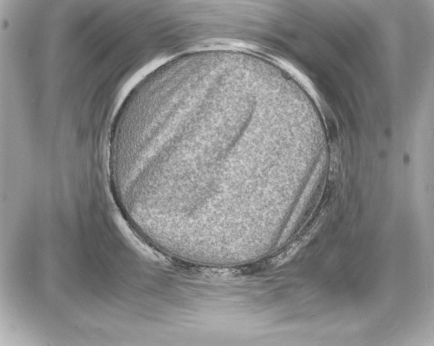 X0000087421003200705111911