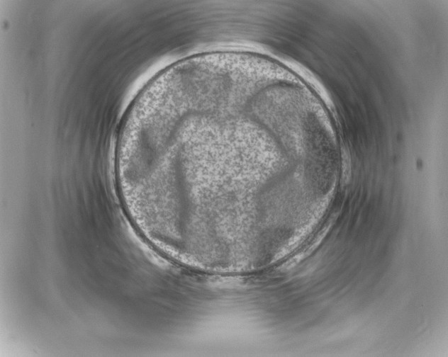 X0000087421006200705111911
