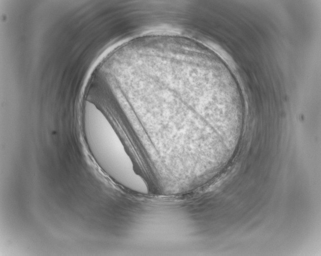 X0000087421008200705111911