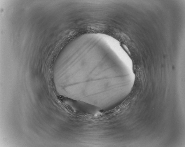 X0000087421009200705111911
