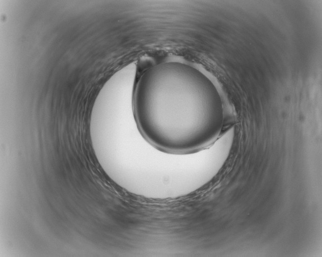 X0000087421010200705111911